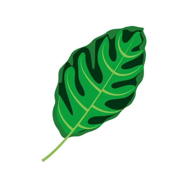 Groen blad tropisch — Stockvector