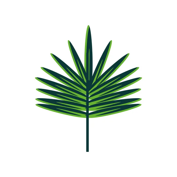 Тропическая листва — стоковый вектор