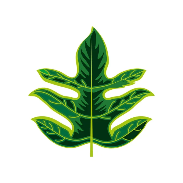 Hoja de palma tropical — Vector de stock