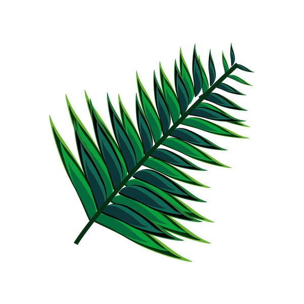 ветви тропической листвы