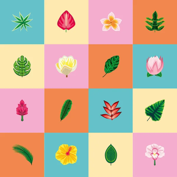Fleurs tropicales collection de feuilles — Image vectorielle