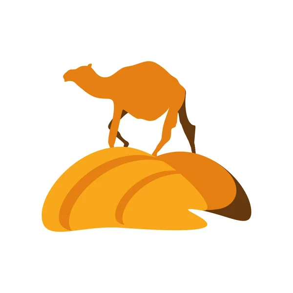 Kamelenduinen woestijn — Stockvector