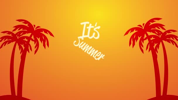 Summer time lettering animation with palms sunset scene — Stock Video