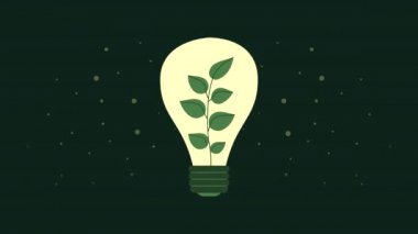 Ampul yapraklı ekoloji animasyonu