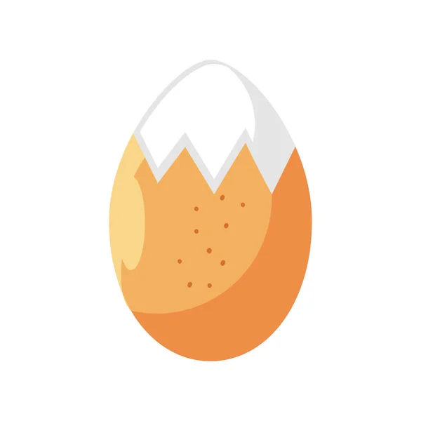 Boiled egg fresh — Stock Vector