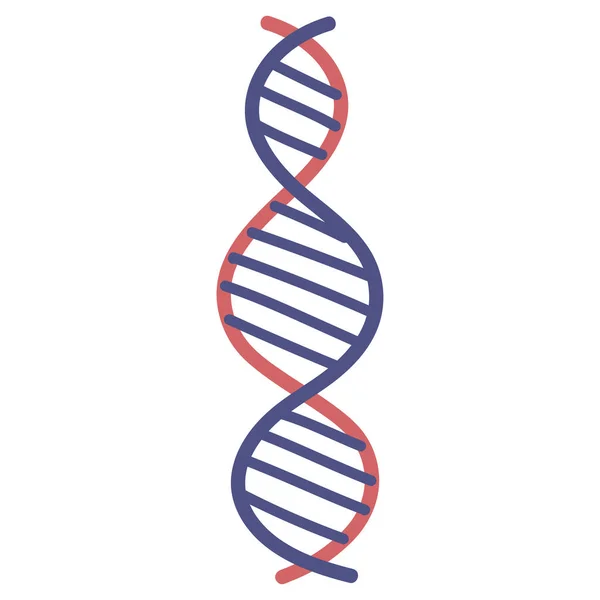 Molécula de ADN genetc — Vetor de Stock