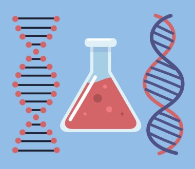 genetik matara DNA 'sı