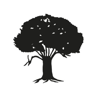 Siluet meşe ağacı