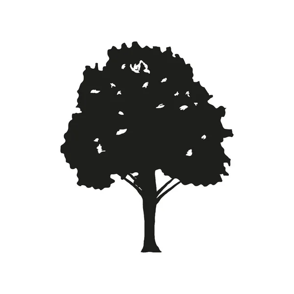 Silhouette albero fronda — Vettoriale Stock