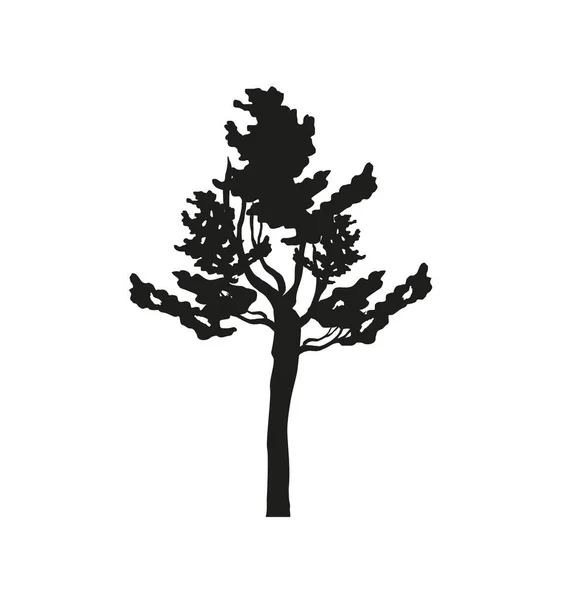 Ветви силуэта — стоковый вектор