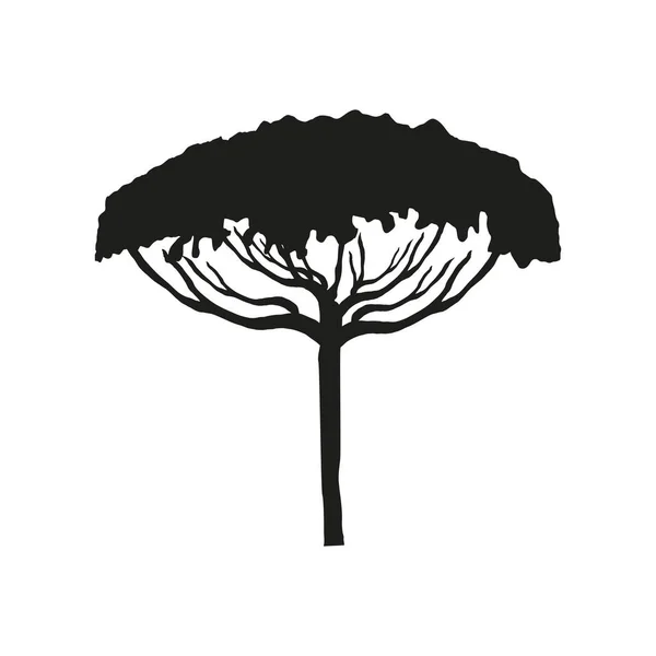 Drzewko botaniczne sylwetki — Wektor stockowy