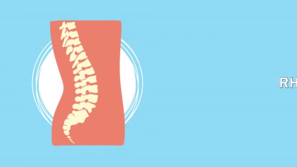 Columna vertebral hueso humano dolor animación — Vídeo de stock