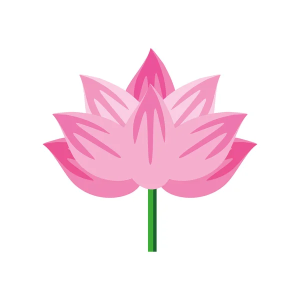 Pink flower stem — Stock Vector