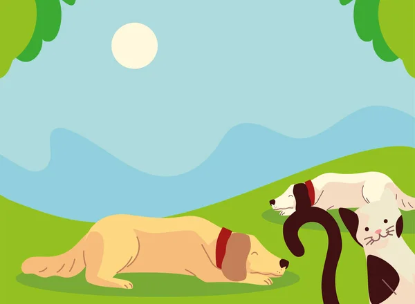 Animaux domestiques dans le parc — Image vectorielle