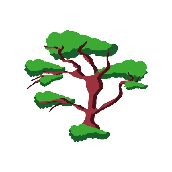 Bonsai tree decoration — Stock Vector