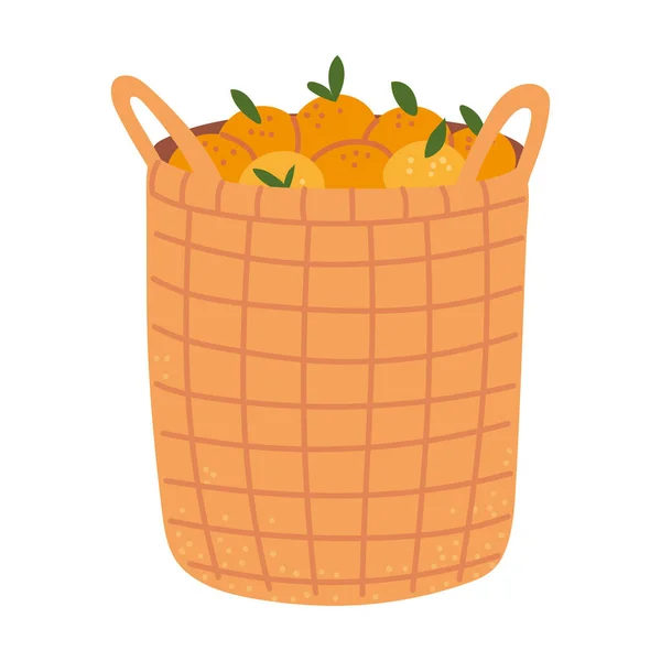 Basket with harvest orange — стоковый вектор