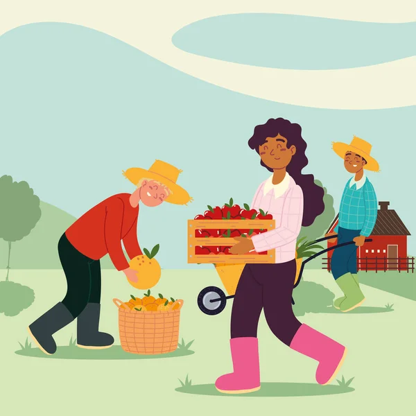 Agriculteurs cueillant des fruits — Image vectorielle
