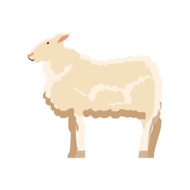 koyun çiftliği hayvanı