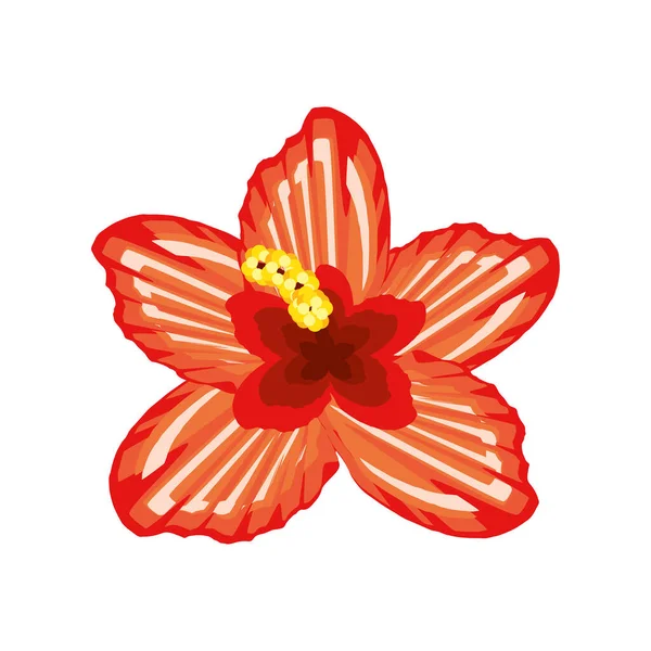 Hibiszkusz virág trópusi — Stock Vector