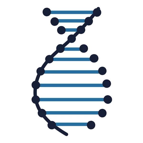 Modèle de molécule d'ADN — Image vectorielle