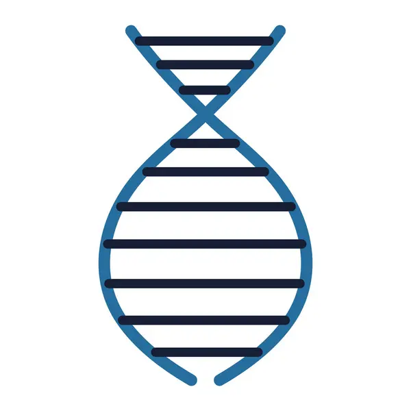 DNA-molecuulmodel — Stockvector