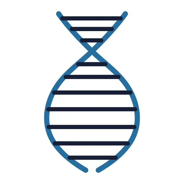 Modelo de molécula de dna — Vetor de Stock