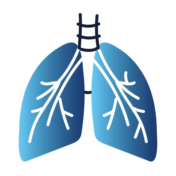 Pulmones sanos respiración — Vector de stock