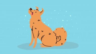 Şirin sarı köpek maskotu animasyonu