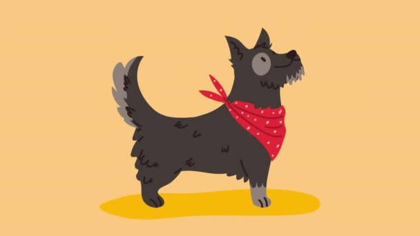Милая анимация талисмана чёрной собаки — стоковое видео