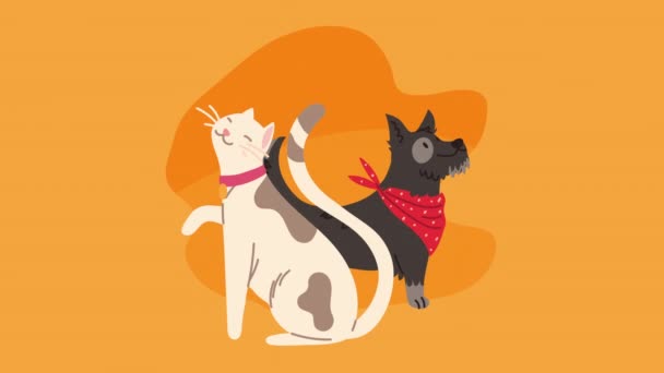 Dog and cat mascots animation — Stock Video