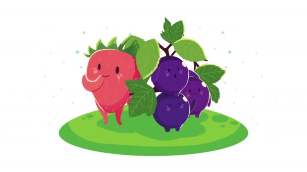Strawberry and grapes fruits characters animation — Stock Video