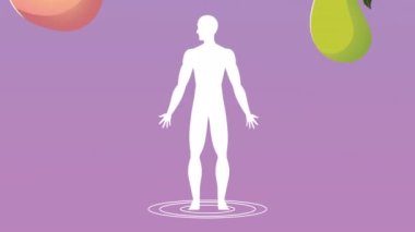 meyve ve sağlıklı insan vücudu silueti