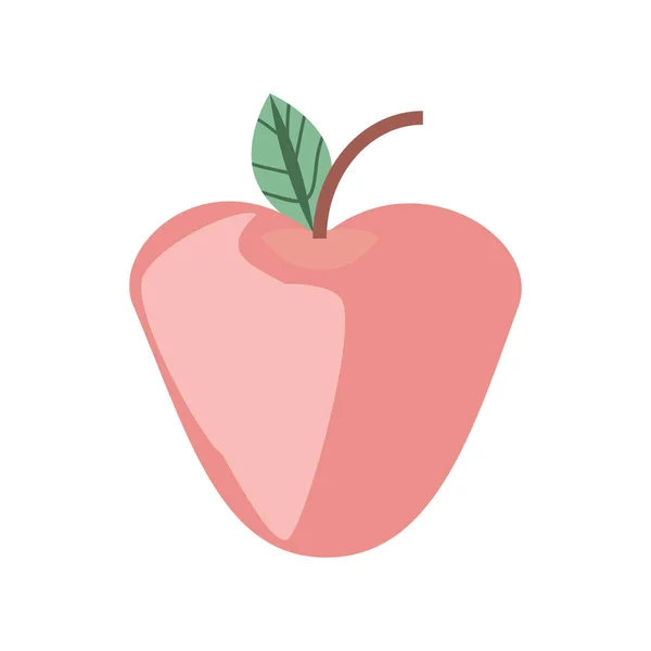 Apfelfrüchte frisch — Stockvektor