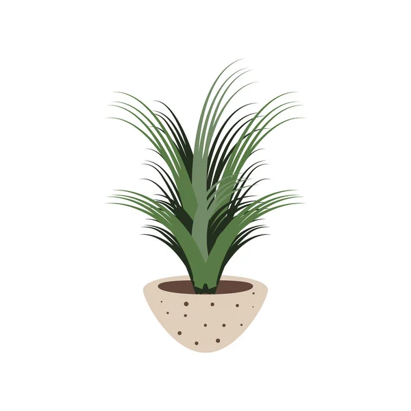 Plante en pot — Image vectorielle