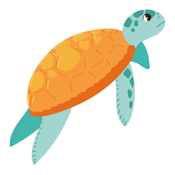 Lindo animal tortuga — Vector de stock