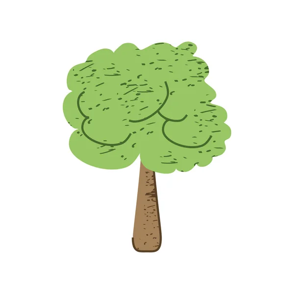 Albero di fronde verde — Vettoriale Stock
