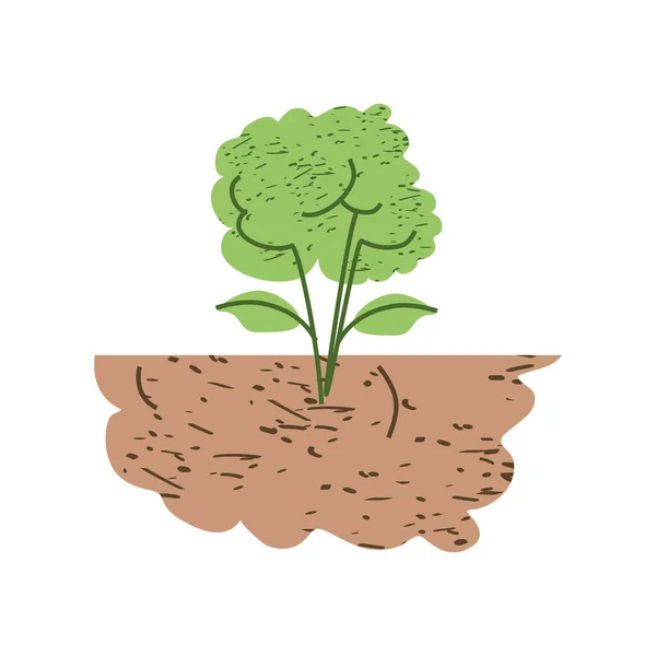 土壌中の植物 — ストックベクタ