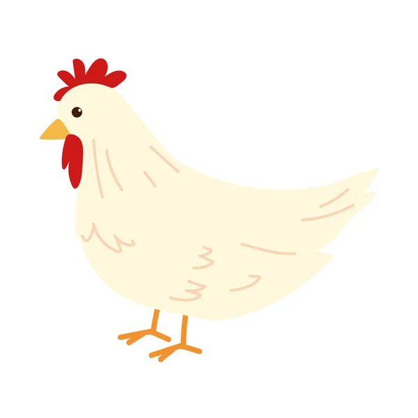 Söt vit kyckling — Stock vektor