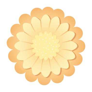 yellow flower decorative