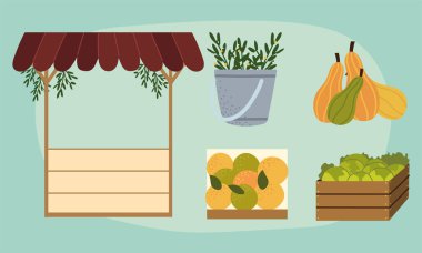 Organik ürünler seti