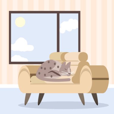 sleeping cat on sofa furniture