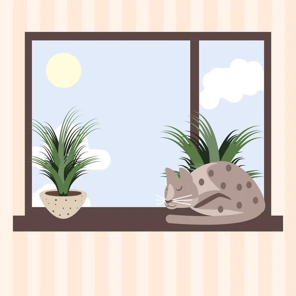 Sleeping cat in window — Vector de stock