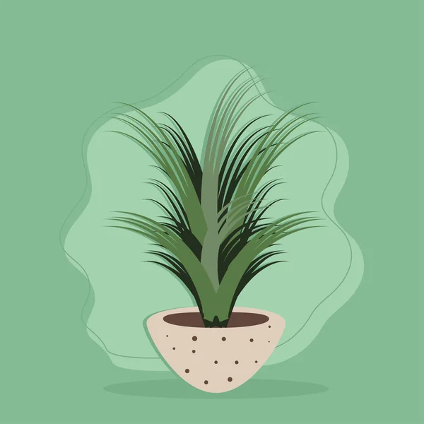 Houseplant interior nature — Stockvektor