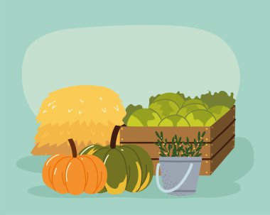 Yerel organik gıda üretimi