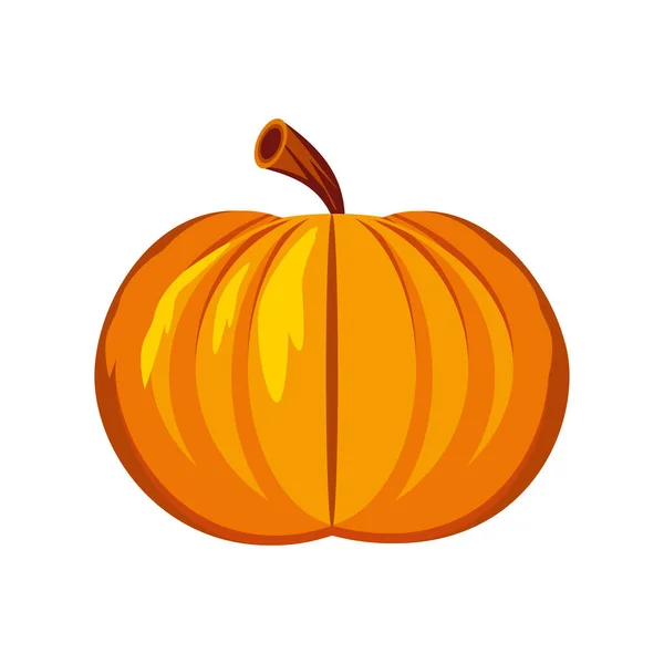Fresh pumpkin food — Stock Vector