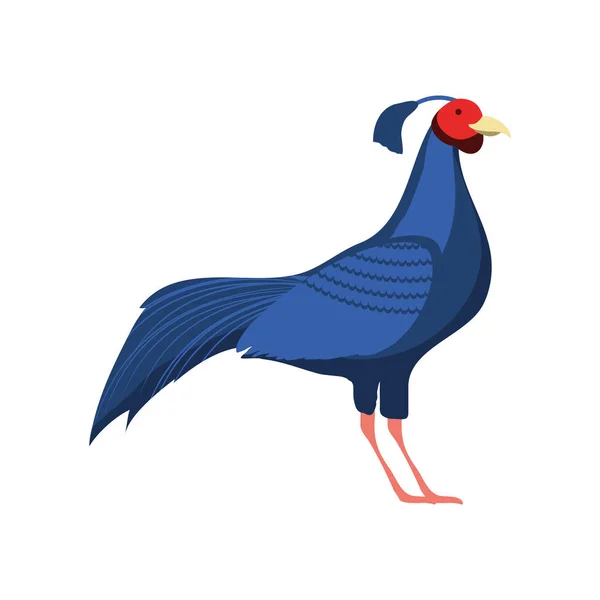 Сиамская огненная птица — стоковый вектор