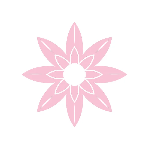 Flor rosa decoración — Vector de stock