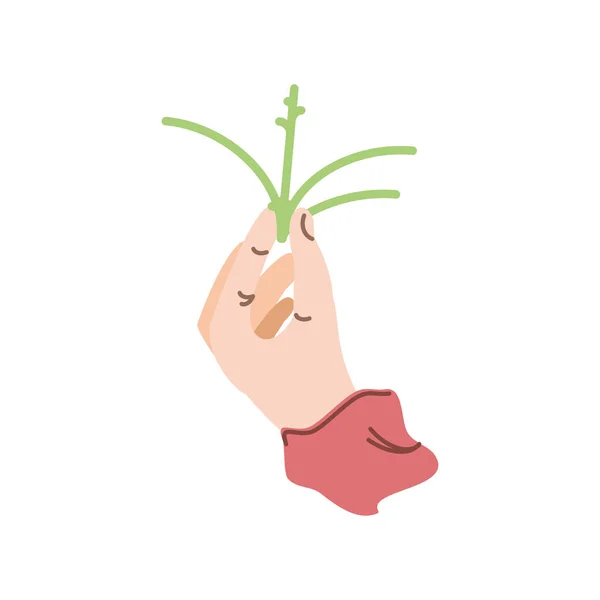 Mano con una planta — Vector de stock