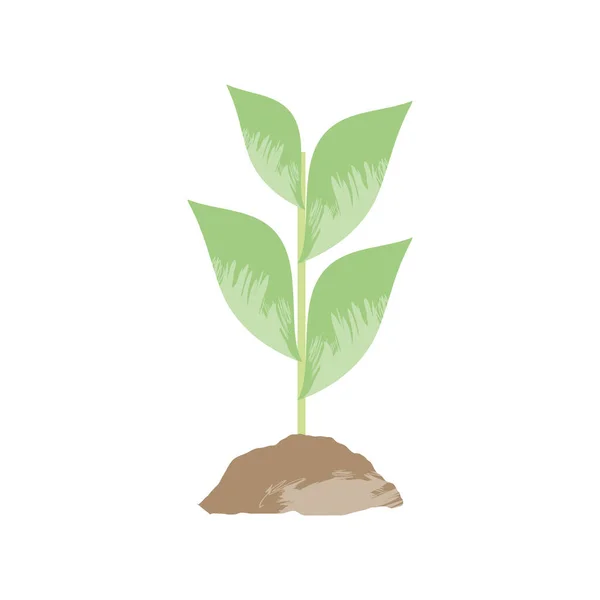 Растущее растение — стоковый вектор