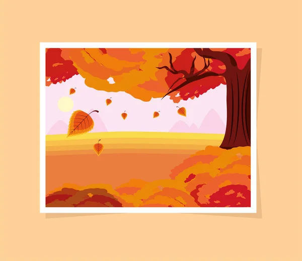 Осеннее дерево падает листья — стоковый вектор